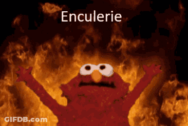 Elmo Surrounded By Flames With Enculerie GIF