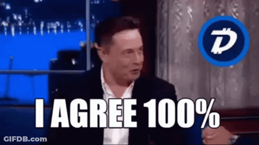 Elon Musk 100  Percent Agree GIF