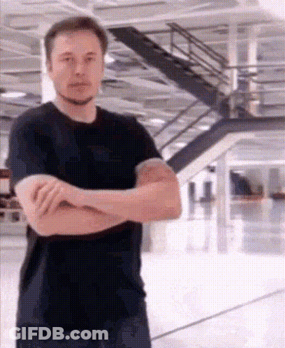 Elon Musk Arms Crossed Looking At Camera GIF