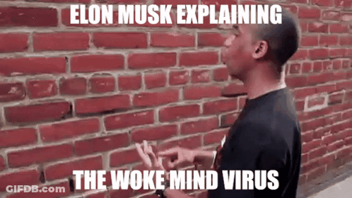 Elon Musk Explaining Woke Mind Virus GIF