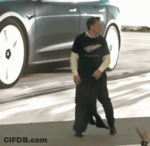 Elon Musk Funny Duck Dance GIF