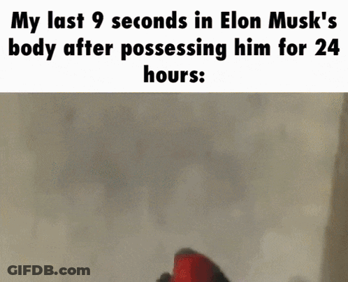 Elon Musk Last 9 Seconds Meme GIF
