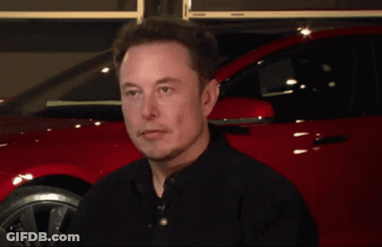 Elon Musk Playful Smile Shoulder Shrug GIF
