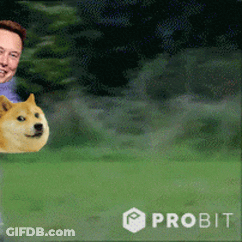 Elon Musk With Doge On Head GIF