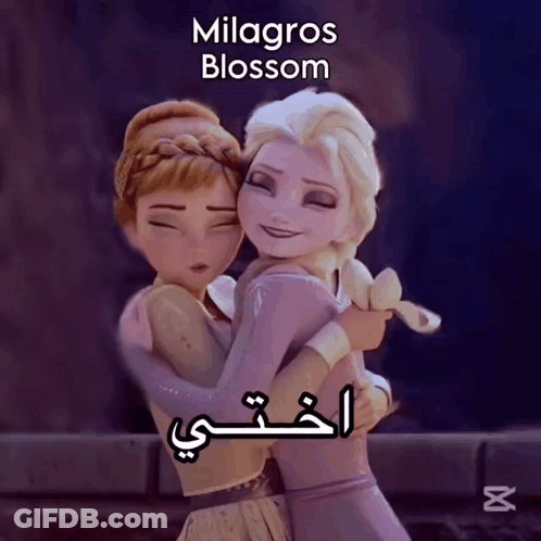 Elsa And Anna Hugging Milagros Blossom GIF