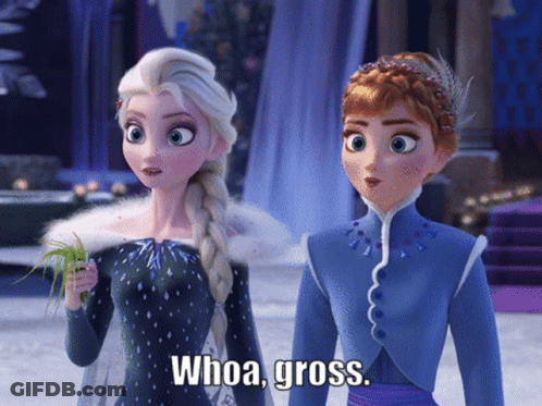 Elsa And Anna Saying Whoa Gross GIF
