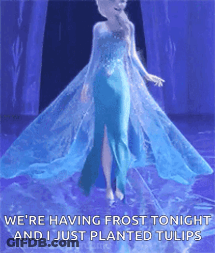 Elsa From Frozen Saying We're Having Frost Tonight And I Just Planted Tulips GIF