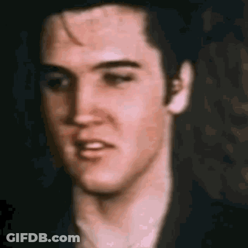 Elvis Elvis Presley GIF