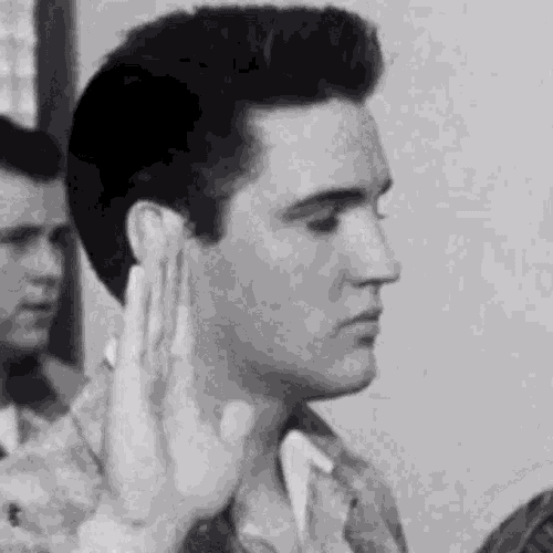 Elvis Elvis Presley GIF