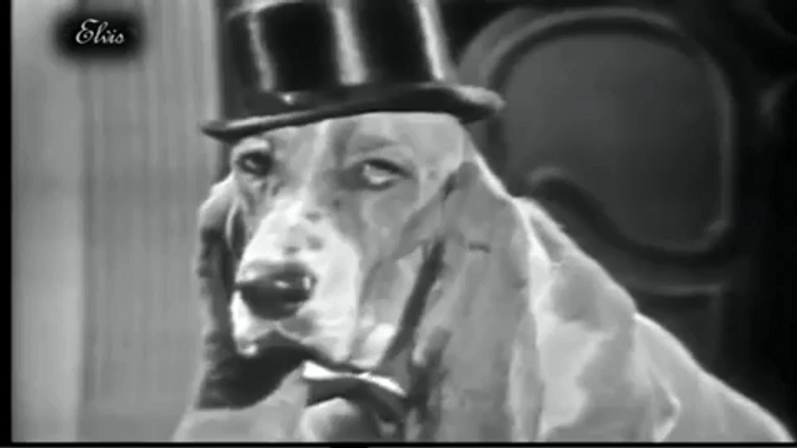 Elvis Presley 1950 Steve Allen Show GIF