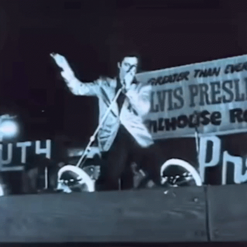Elvis Presley Elvis The Pelvis GIF