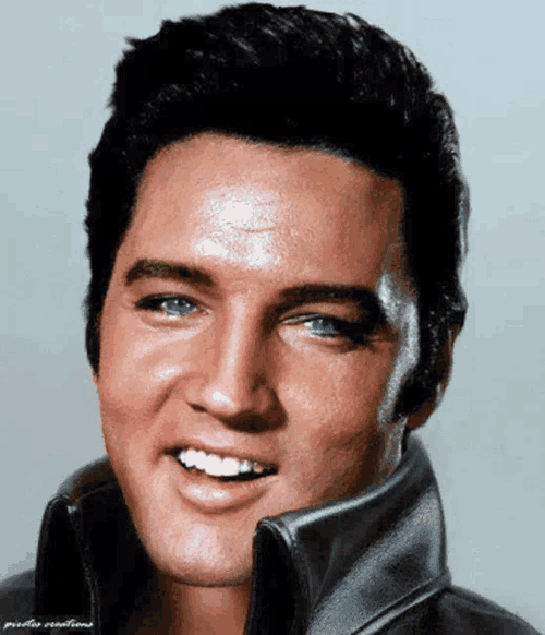 Elvis Presley Singer GIF