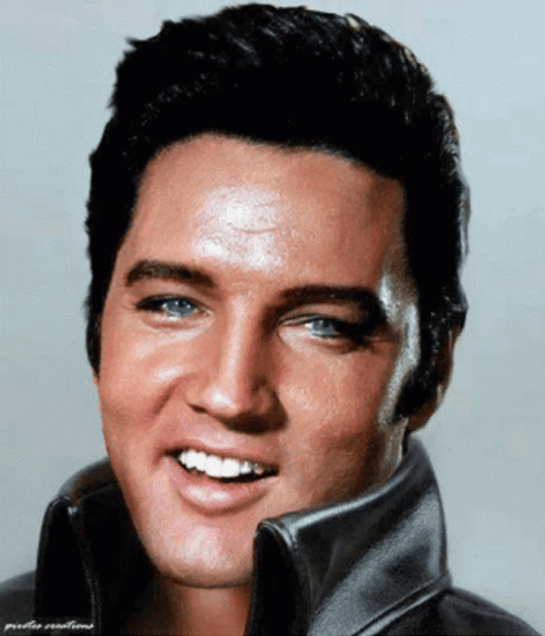 Elvis Presley Thank You Very Much Wink GIF