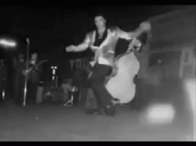 Elvis Presley The King GIF