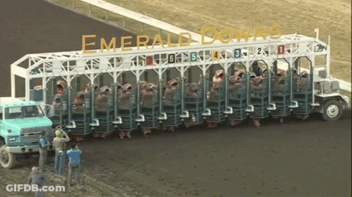 Emerald Downs Is Written On The Side Of A Large Truck GIF