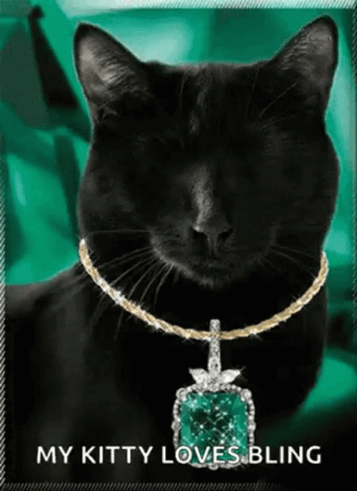 Emerald Green Cat GIF