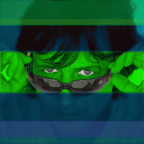 Emerald Green Flag GIF