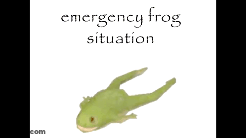 Emergency Frog Situation Poster With Green Frog GIF