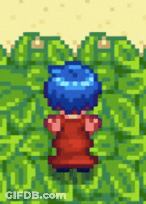 Emily Stardew Valley Character GIF