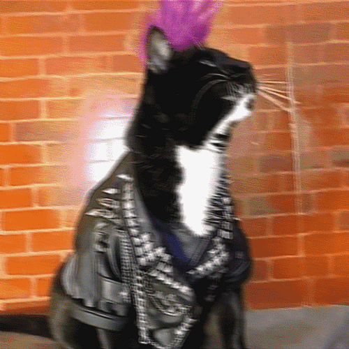 Emo Rock Cat Headbang GIF