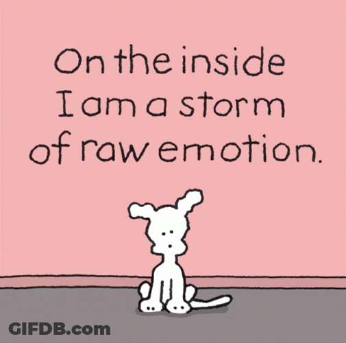 Emotional Chippy The Dog GIF