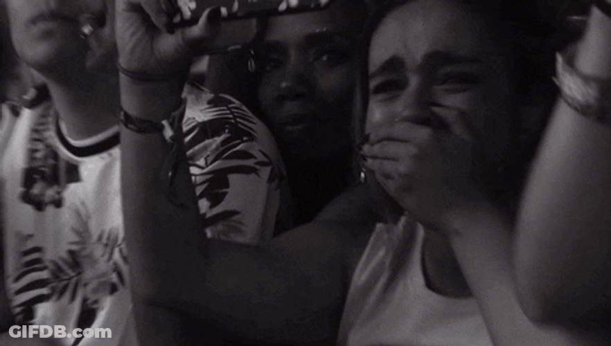 Emotional Crying Fan GIF