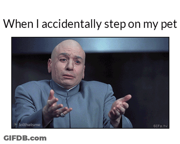 Emotional Dr. Evil Accidentally Step On Pet GIF