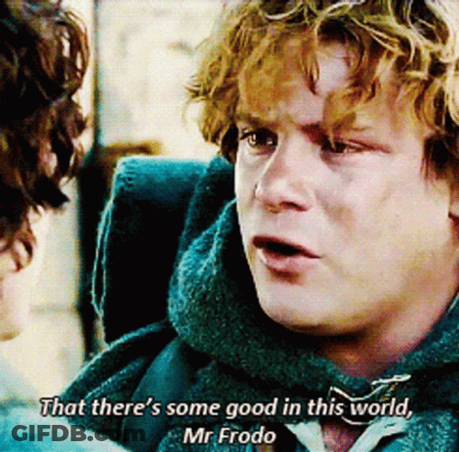 Emotional Frodo Baggins Samwise GIF