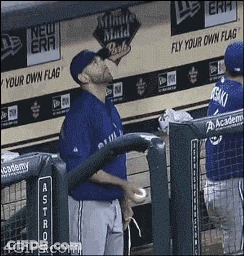 Emotional Kid Baseball Fan GIF