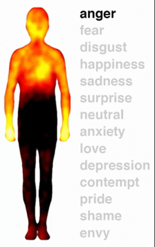 Emotional Sensations Experiences GIF