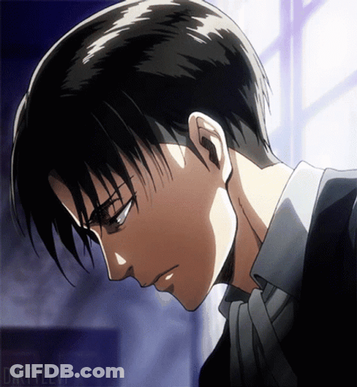Emotional Soldier Levi Ackerman GIF