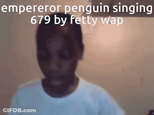 Emperor Penguin Singing 679 By Fetty Wap With A Blurry Picture GIF