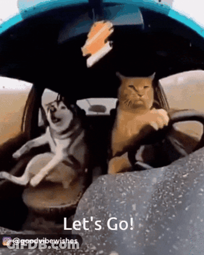 Emperor's New Groove Character Giving OK Sign Perfect GIF