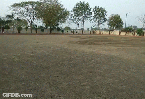 Empty Field With Trees And Fence GIF