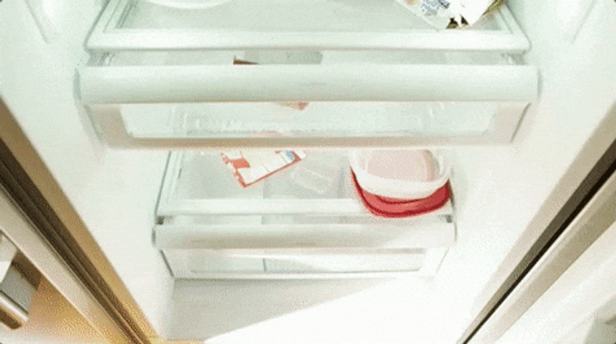 Empty Food In The Fridge GIF