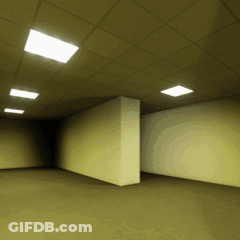 Empty Room With Two Walls And Square Ceiling Lights GIF