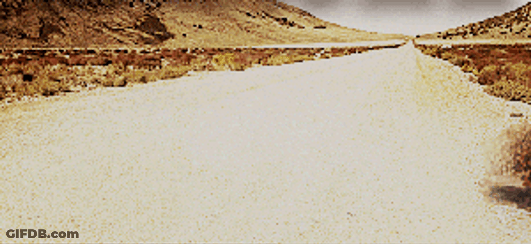 Empty Tumbleweed Species Plants GIF