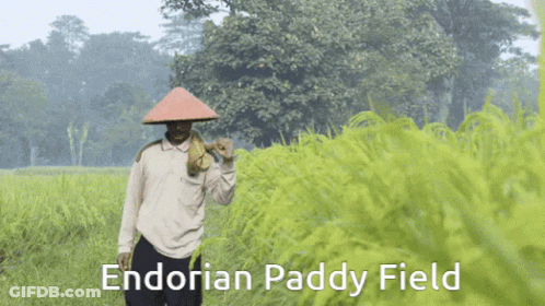 Endorian Paddy Field Man GIF
