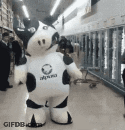 Energetic And Big Cow Mascot Dancing GIF