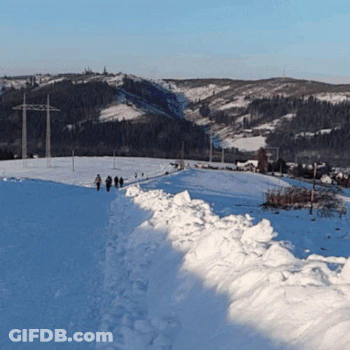Energetic Border Collie Jumping On Snow GIF