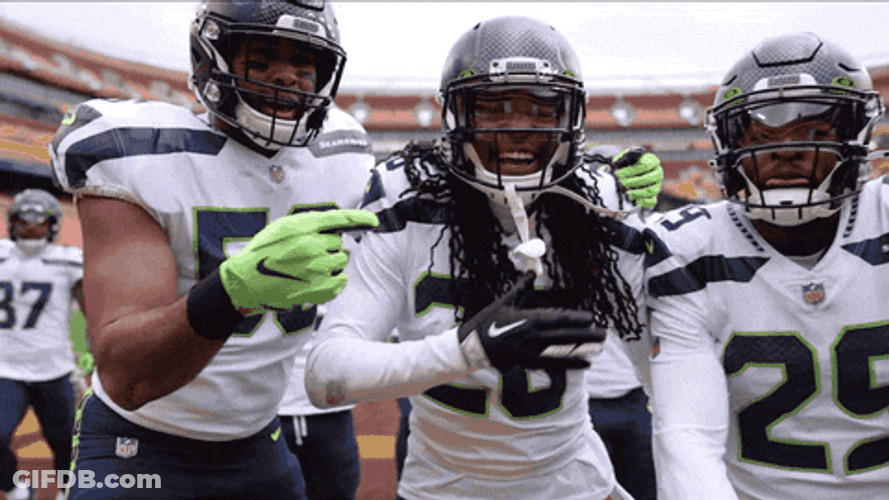 Energetic Happy Seattle Seahawks GIF
