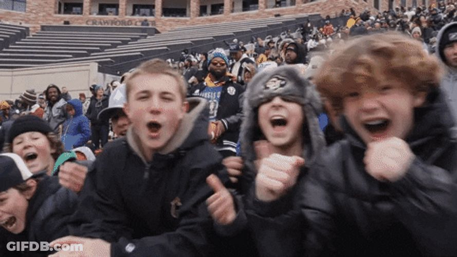 Energized Buffs Fans Cheering GIF