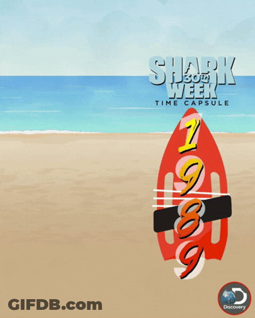 Energizer Bunny History Shark Week GIF