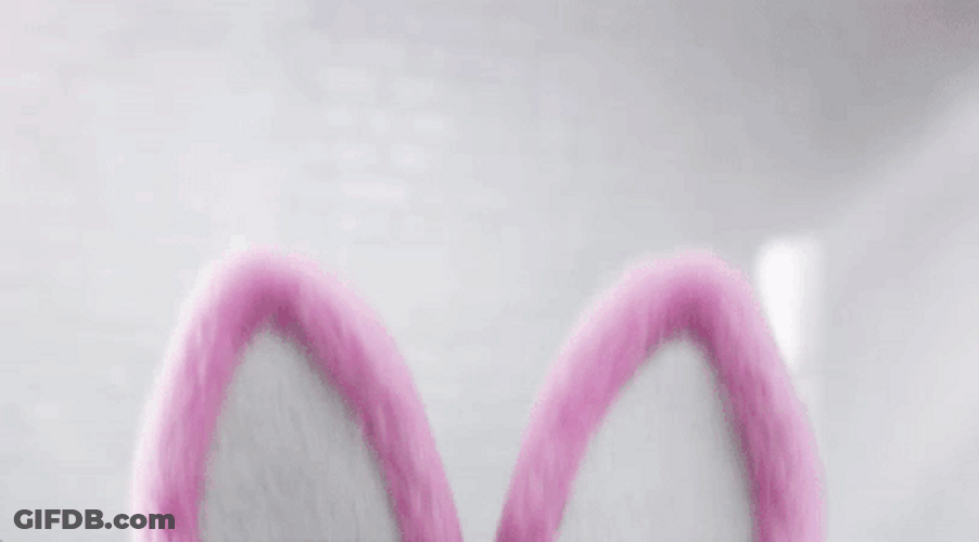 Energizer Bunny Sunglass GIF