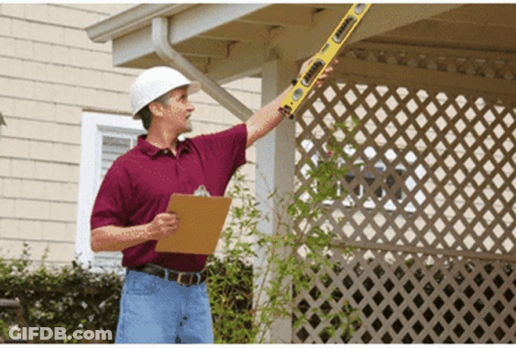 Engineers Surveying Projects GIF