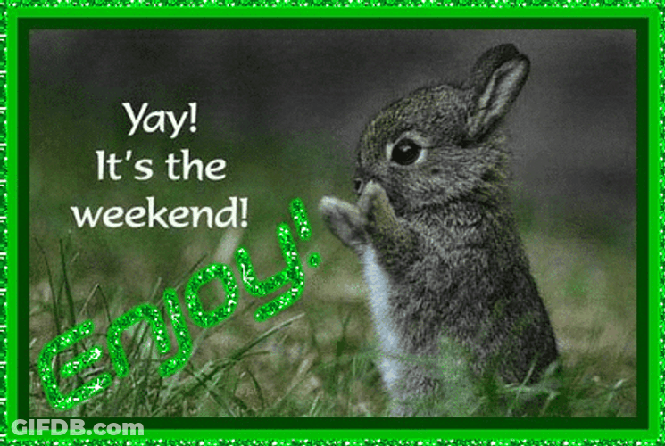 Enjoy Rabbit It's The Weekend GIF
