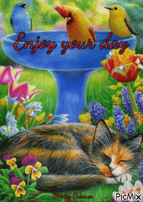 Enjoy Your Day Cat Birds Flowers GIF