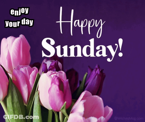 Enjoy Your Day Happy Sunday GIF
