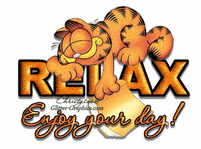 Enjoy Your Day Relax Garfield Sleeping GIF