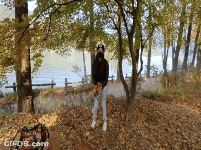 Enjoying A Leaf Shower GIF